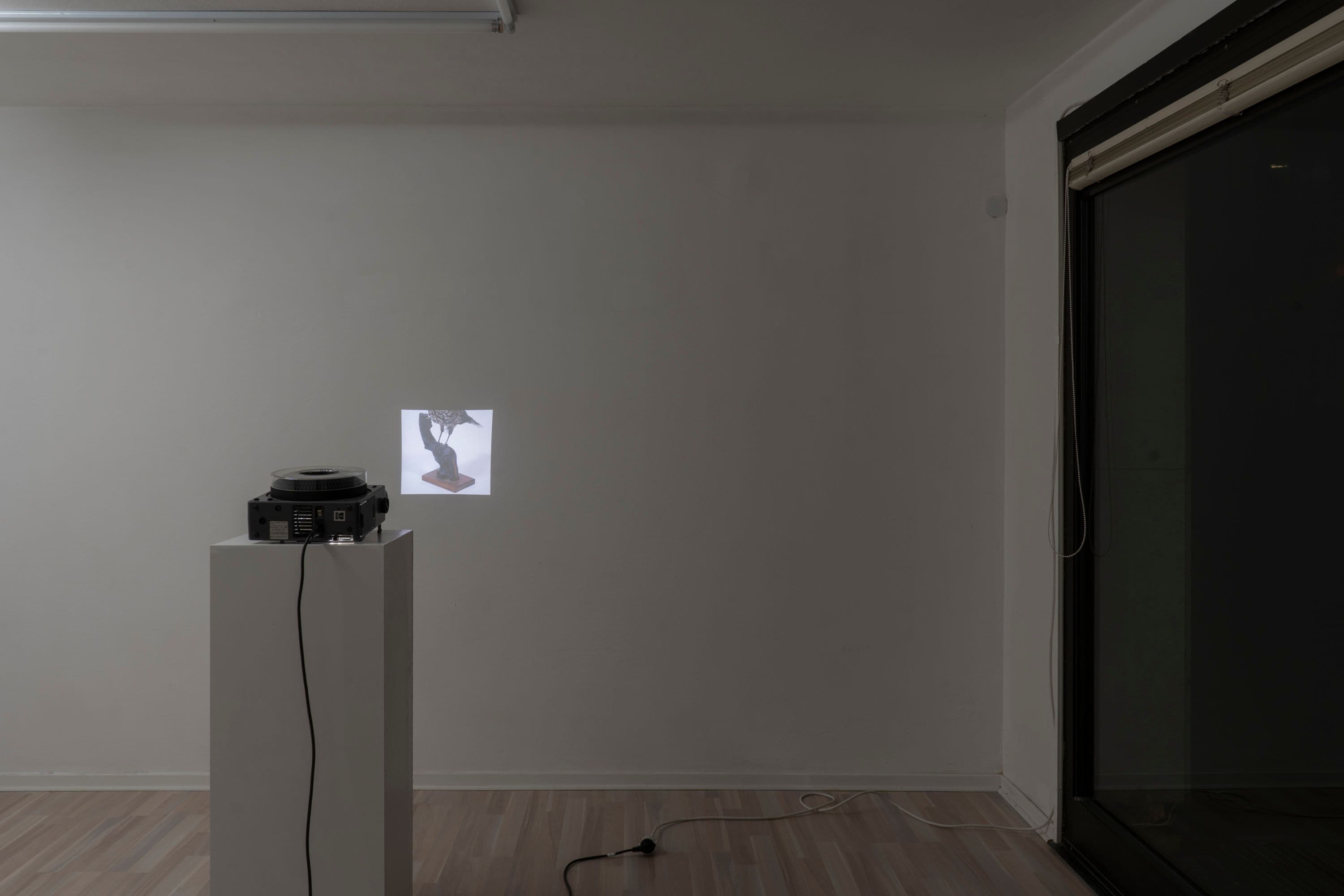 Noémie Degen/Simon Jaton, Chiara Simion, Richard Sides, Robert Pillenstein, Simone Nieweg @ Rinde am Rhein