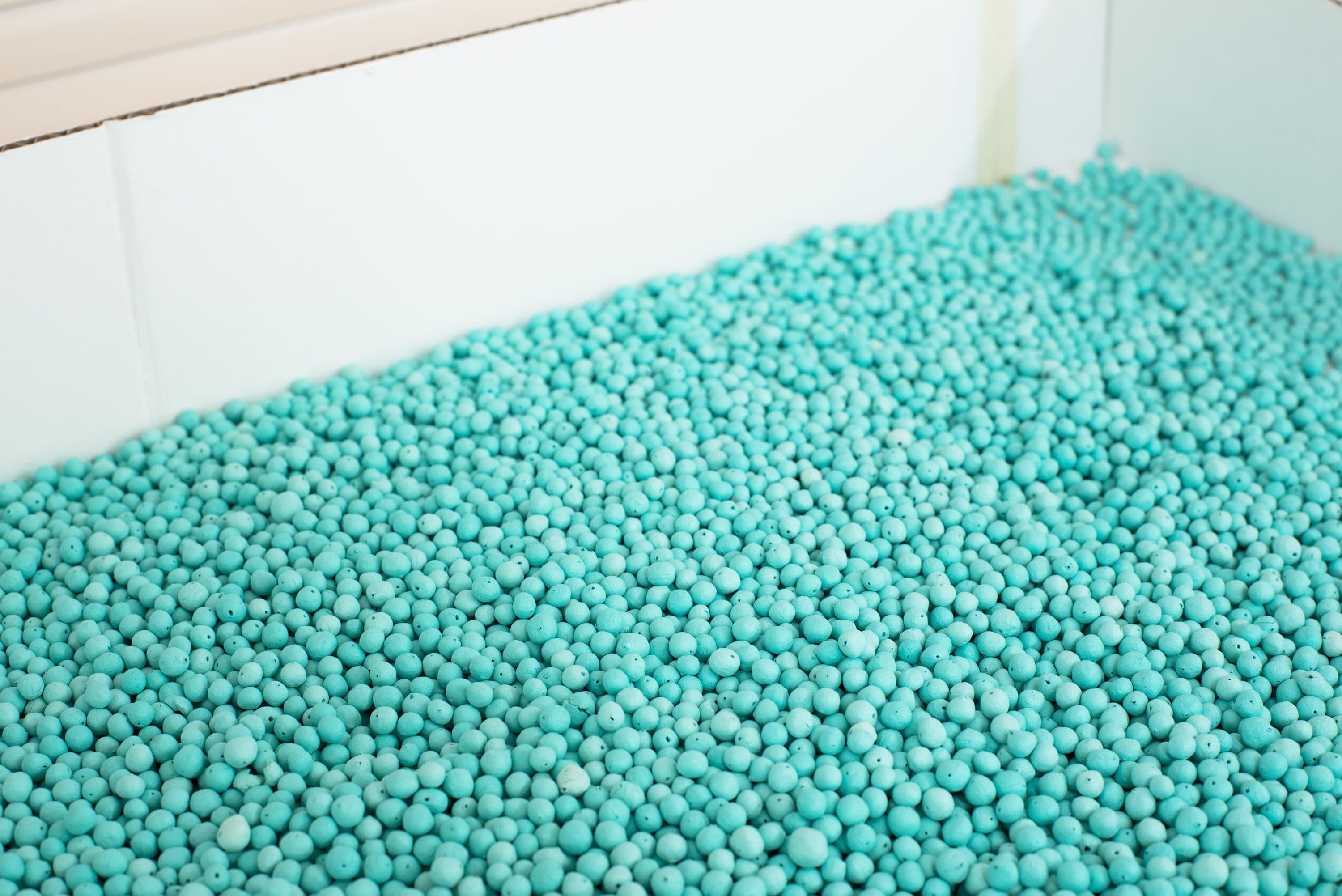 Florian Moldan @ Rinde am Rhein