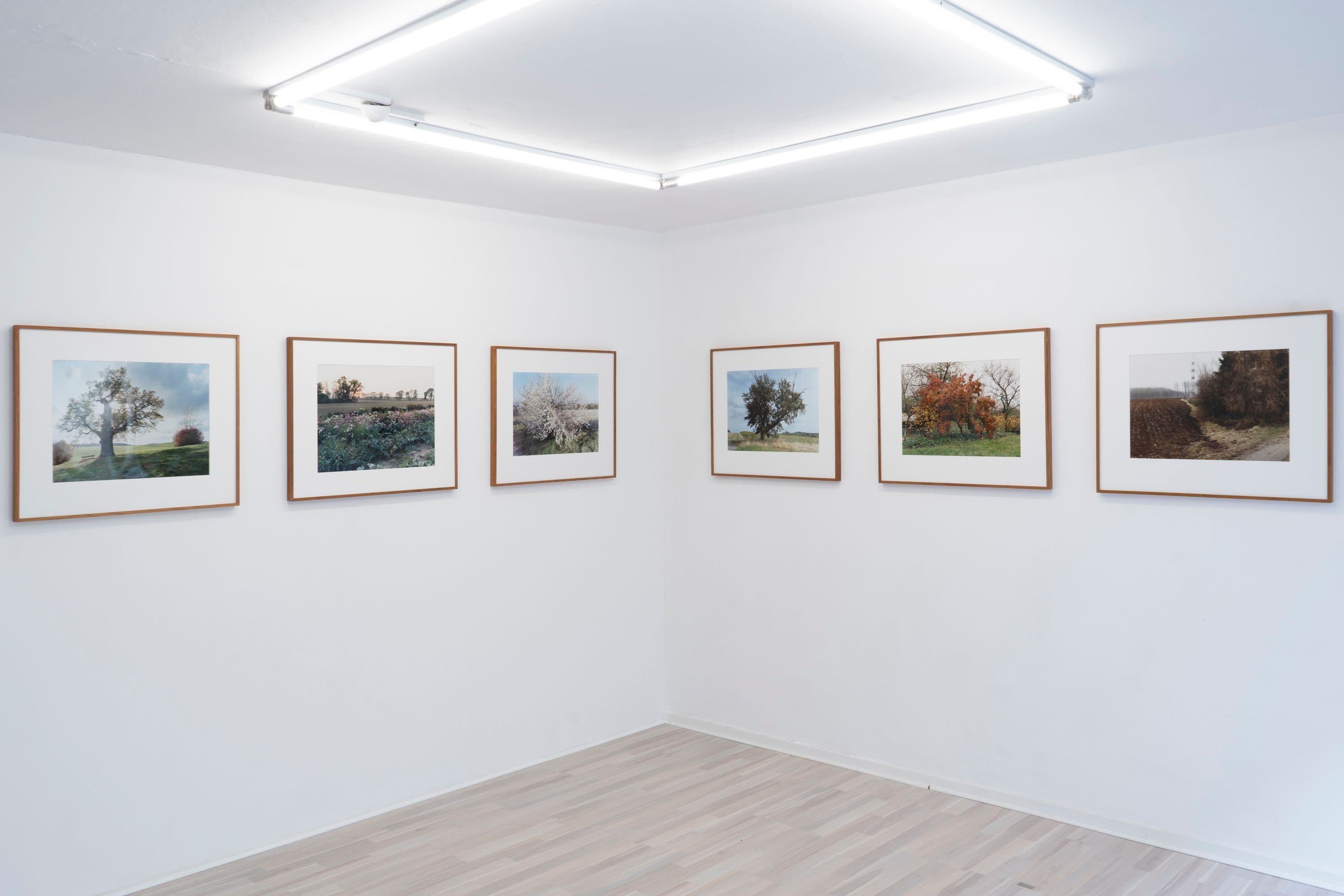 Noémie Degen/Simon Jaton, Chiara Simion, Richard Sides, Robert Pillenstein, Simone Nieweg @ Rinde am Rhein