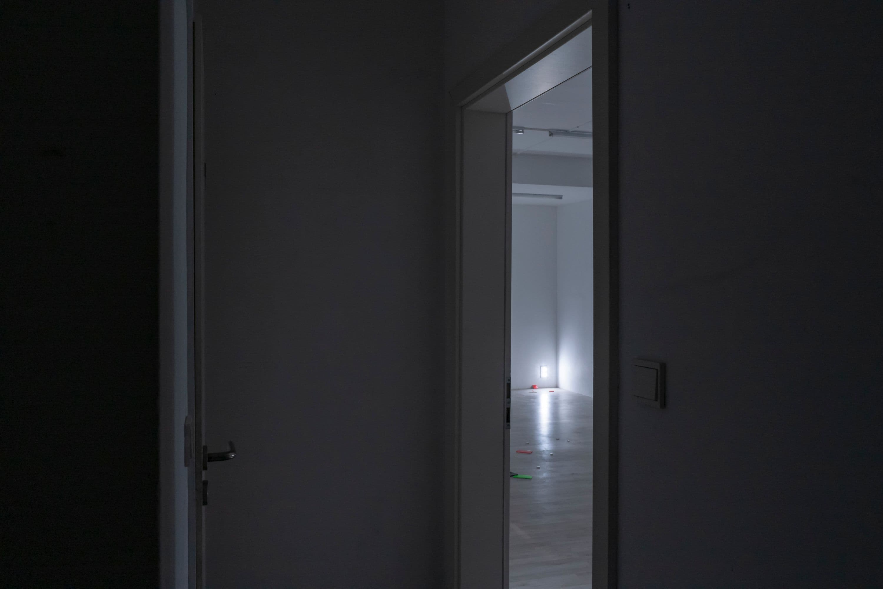 Haiqing Wang @ Rinde am Rhein