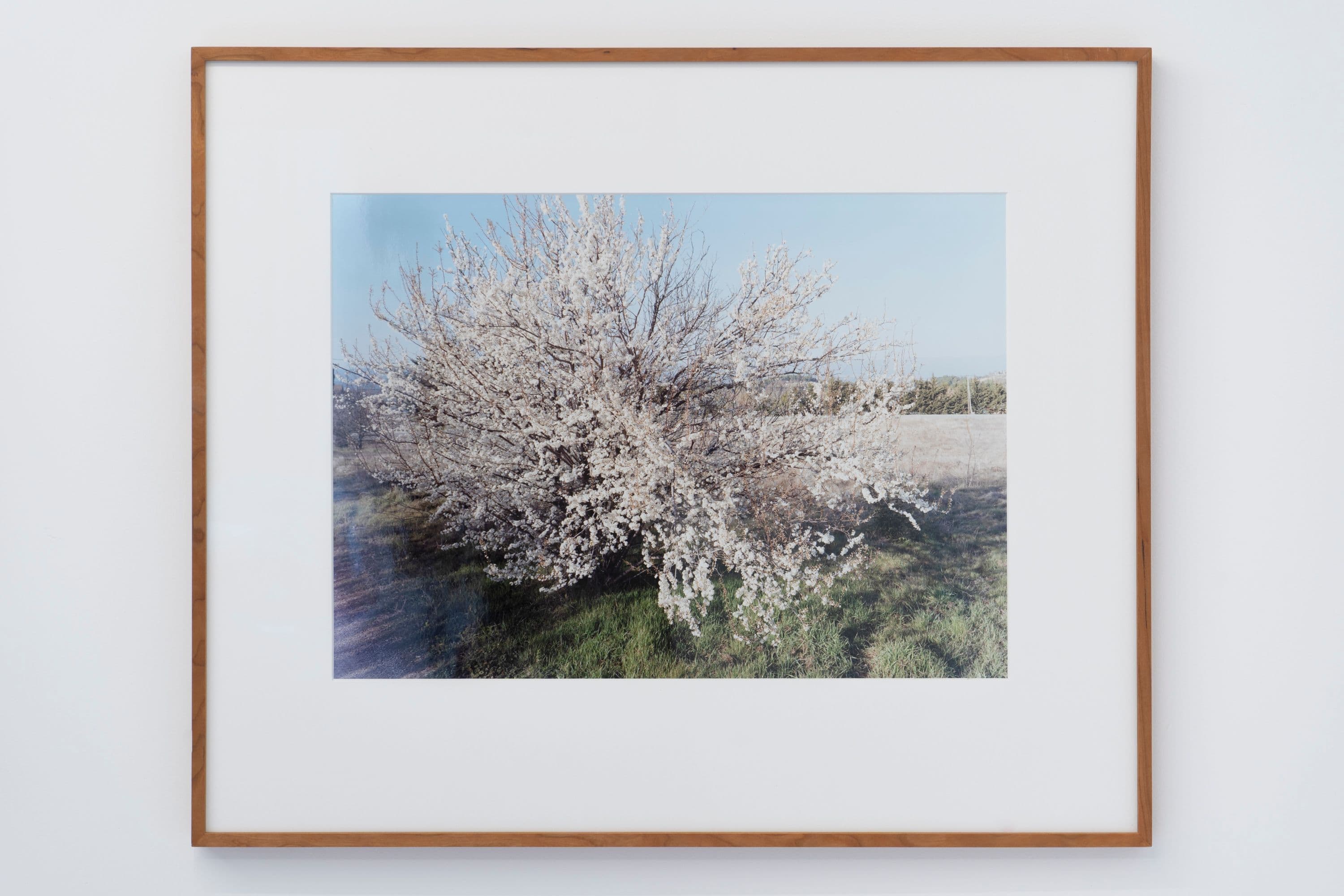 Noémie Degen/Simon Jaton, Chiara Simion, Richard Sides, Robert Pillenstein, Simone Nieweg @ Rinde am Rhein