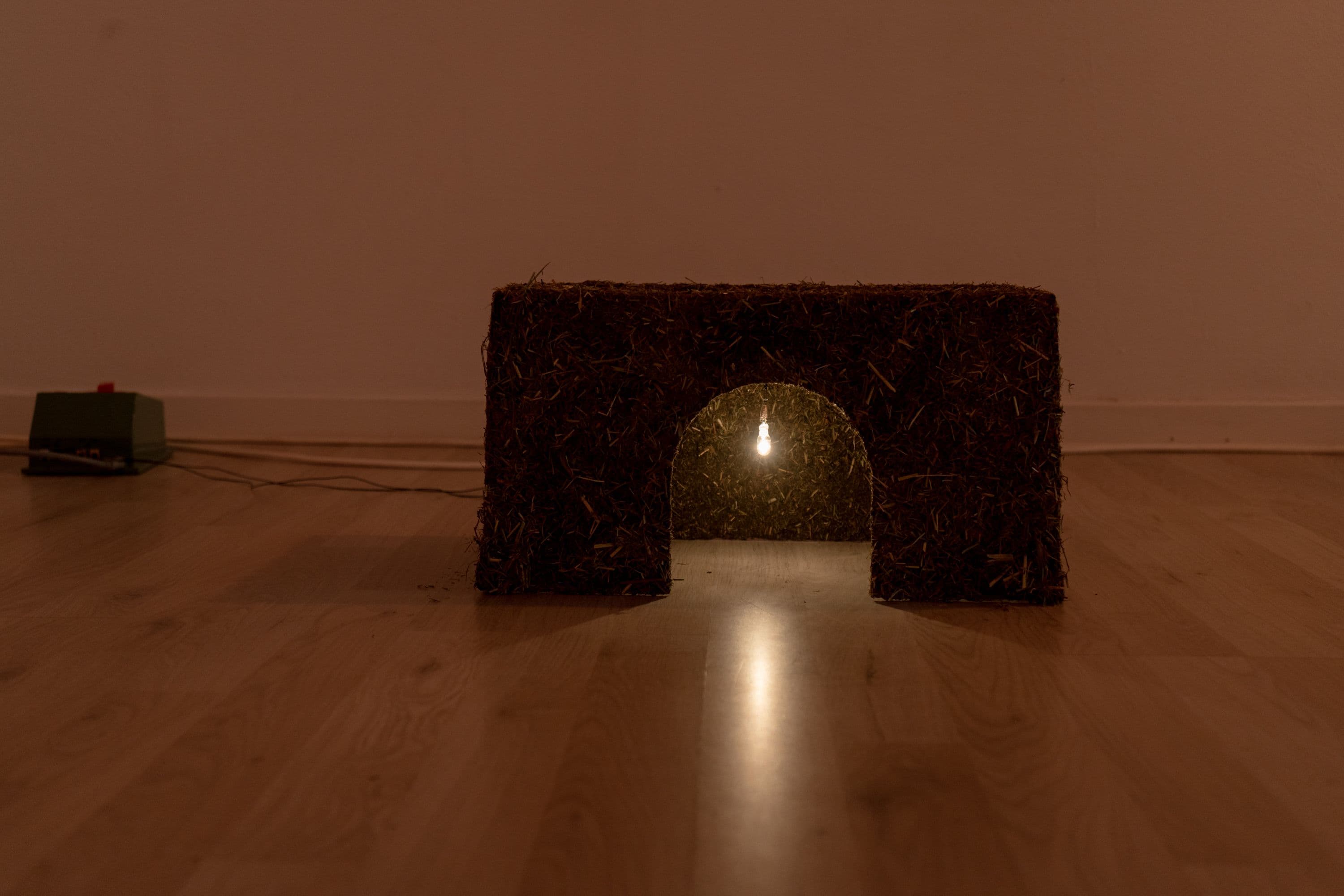 Group Show @ Rinde am Rhein